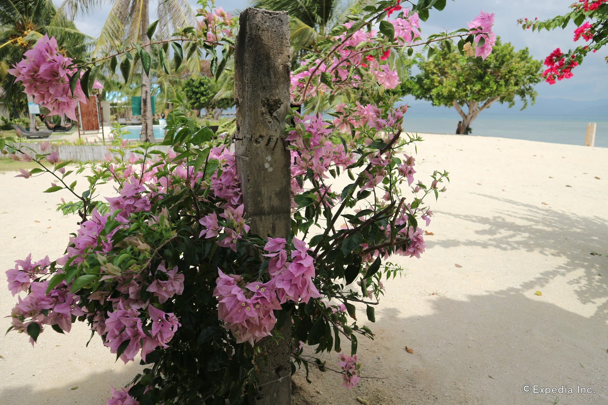 Dos Palmas Island Resort & Spa Puerto Princesa Exterior foto